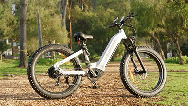 Embrace the Freedom of Riding: The Benefits of 26-Inch Electric Bicycles