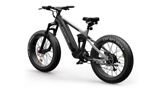 Full-Suspension Fat Tire SR6
