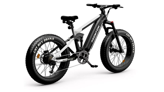Full-Suspension Fat Tire SR6