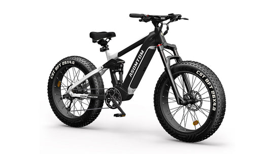 Full-Suspension Fat Tire SR6
