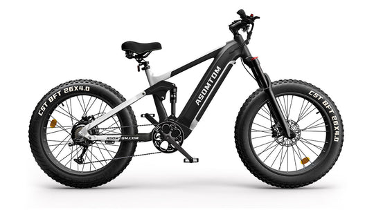 Full-Suspension Fat Tire SR6