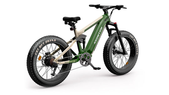 Full-Suspension Fat Tire SR6