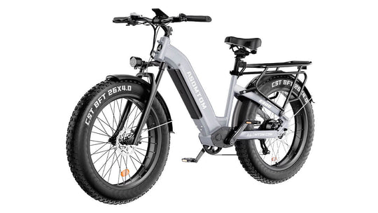 Step-through Adventure Explorer E300