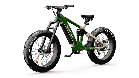 Full-Suspension Fat Tire SR6