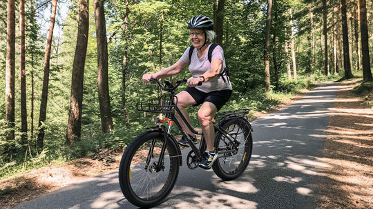 Urban Commuter Elegance E-Bike RV3