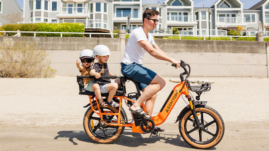 Low-step Dual-battery Cargo E-Bike MAMMOTH