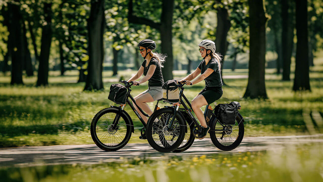 Urban Commuter Elegance E-Bike RV3