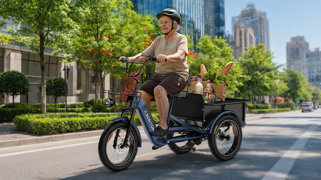 High-Capacity Durable E-Trike WHALE