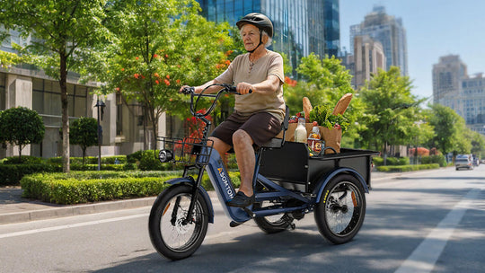 High-Capacity Durable E-Trike WHALE