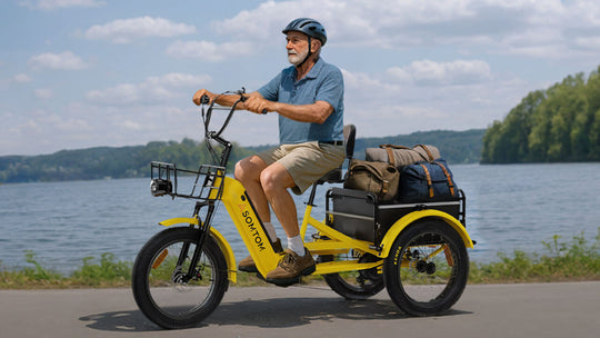 High-Capacity Durable E-Trike WHALE
