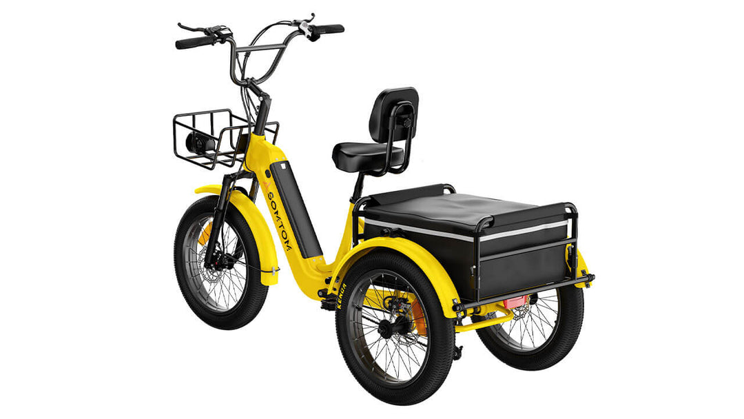 High-Capacity Durable E-Trike WHALE