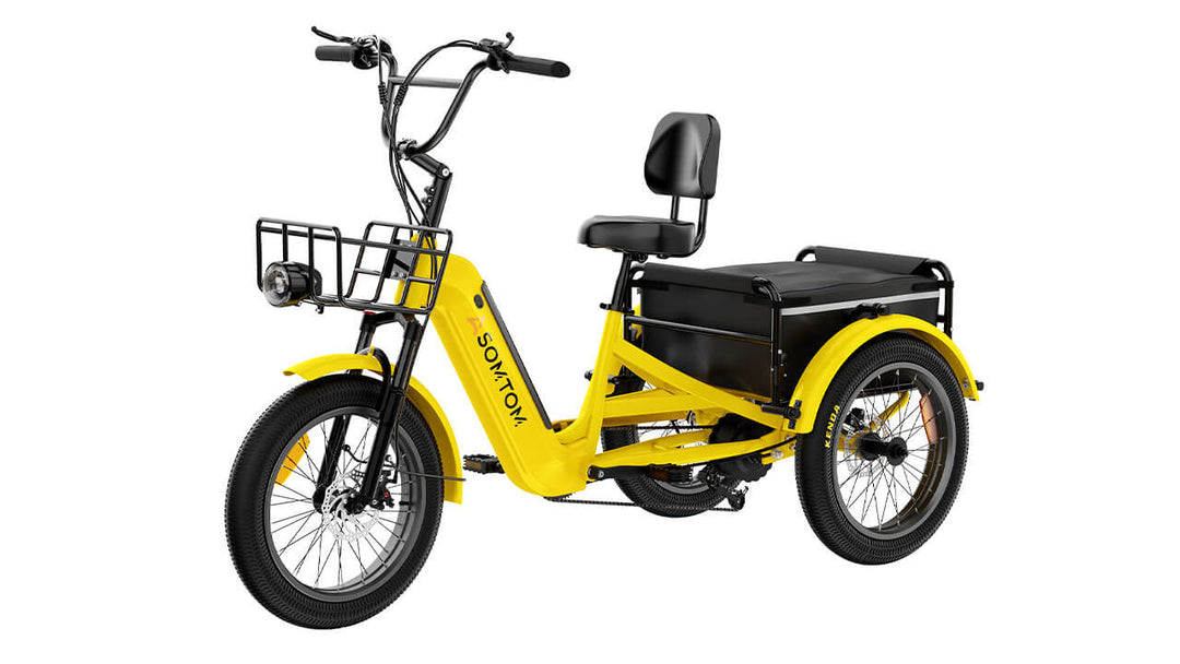 High-Capacity Durable E-Trike WHALE