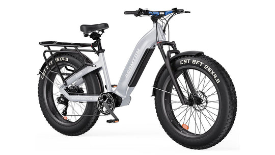 Step-through Adventure Explorer E300 Pro