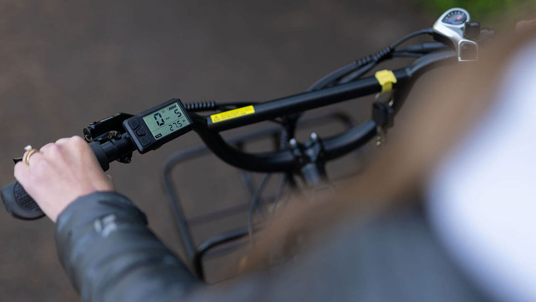 Mammoth Cargo E-Bike with Multi-Use Frame