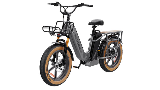 Low-step Dual-battery Cargo E-Bike MAMMOTH