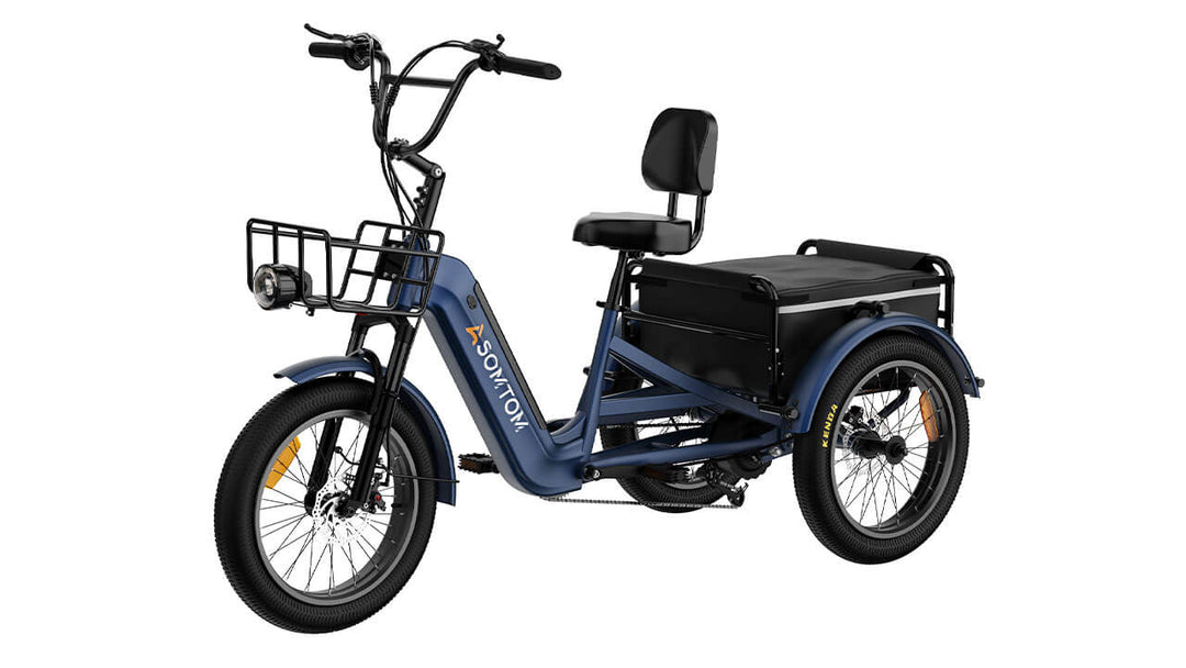 High-Capacity Durable E-Trike WHALE