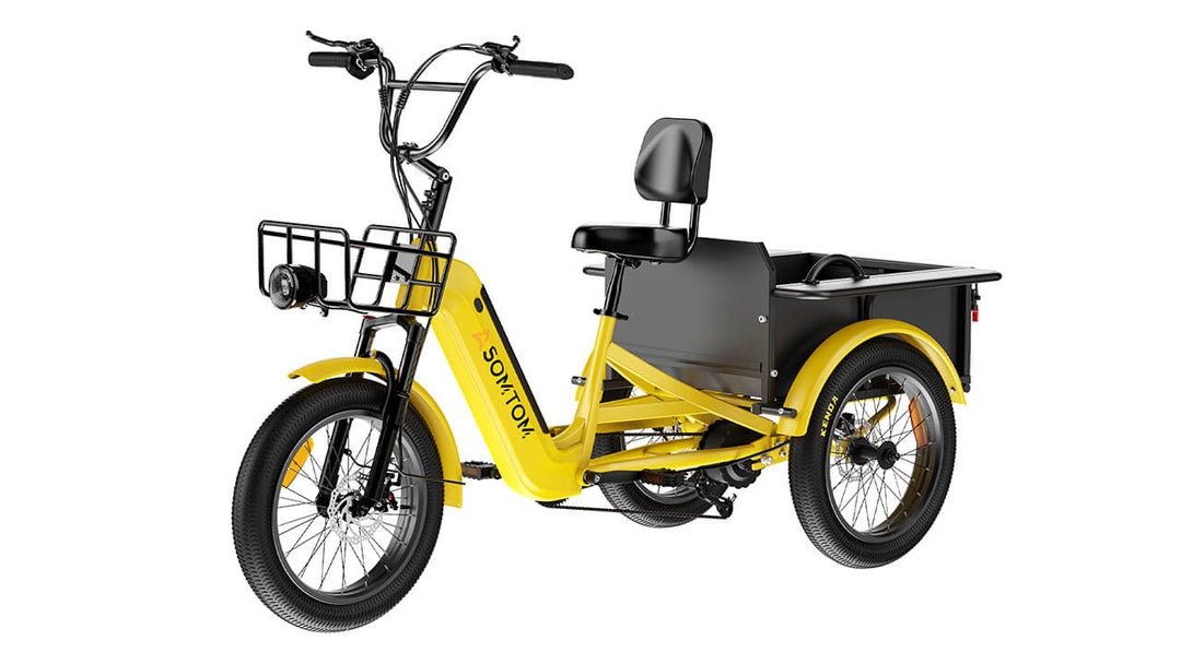 High-Capacity Durable E-Trike WHALE