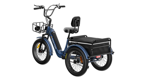 High-Capacity Durable E-Trike WHALE