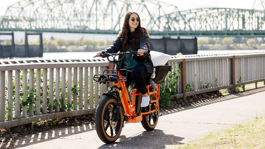 Mammoth Cargo E-Bike with Multi-Use Frame
