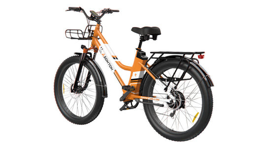 Urban Commuter Elegance E-Bike RV3