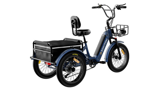 High-Capacity Durable E-Trike WHALE