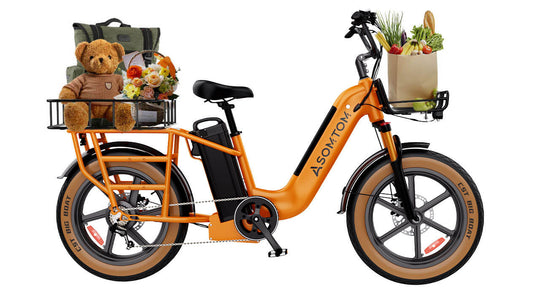 Low-step Dual-battery Cargo E-Bike MAMMOTH
