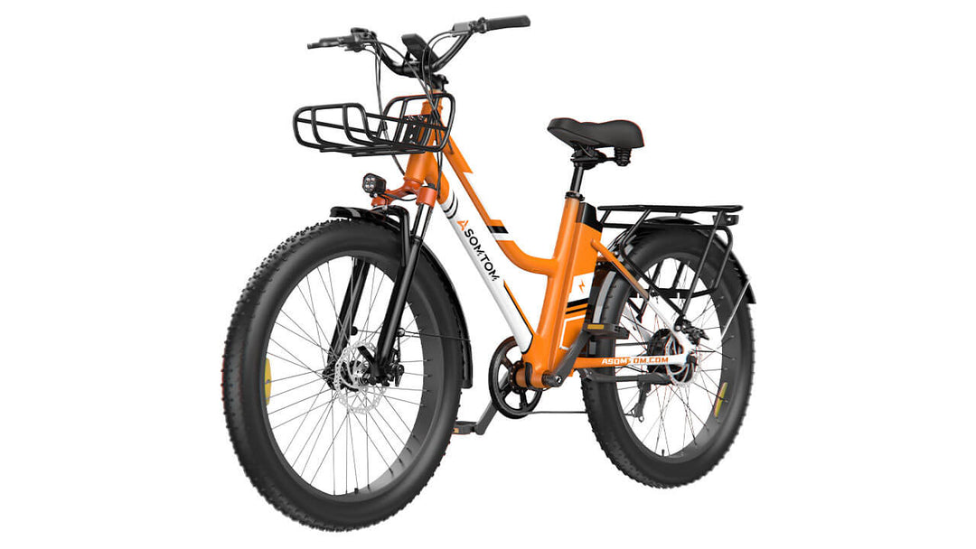 Urban Commuter Elegance E-Bike RV3