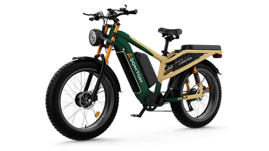 Dual-Drive Full-Suspension All-Terrain L9