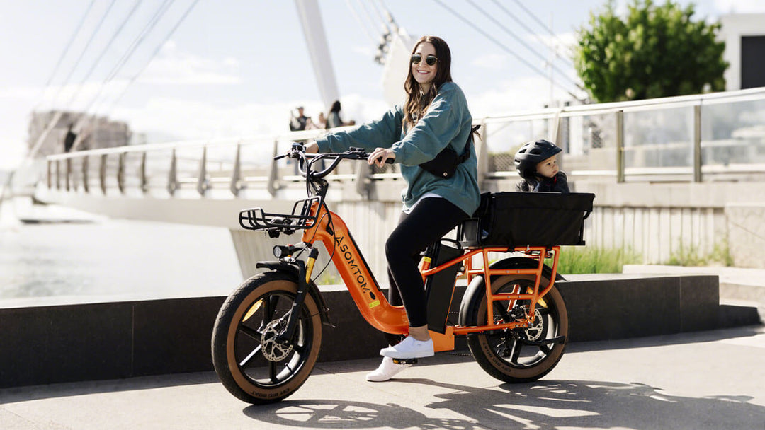 Low-step Dual-battery Cargo E-Bike MAMMOTH