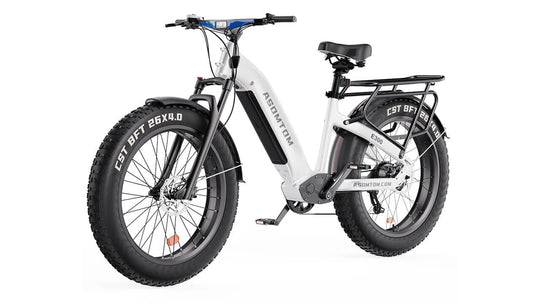 Step-through Adventure Explorer E300 Pro