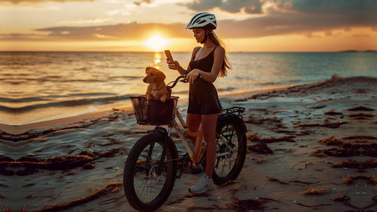 Urban Commuter Elegance E-Bike RV3