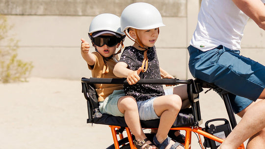 Mammoth Cargo E-Bike with Multi-Use Frame