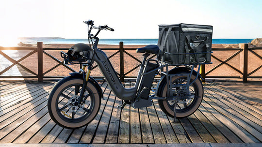 Low-step Dual-battery Cargo E-Bike MAMMOTH