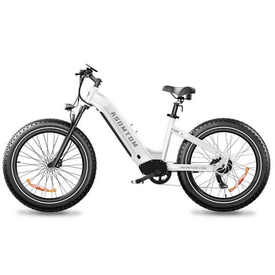 E300 - Asomtom Ebike