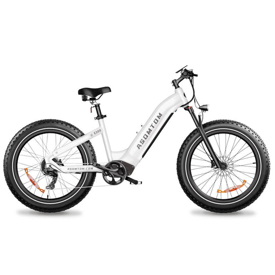 E300 - Asomtom Ebike