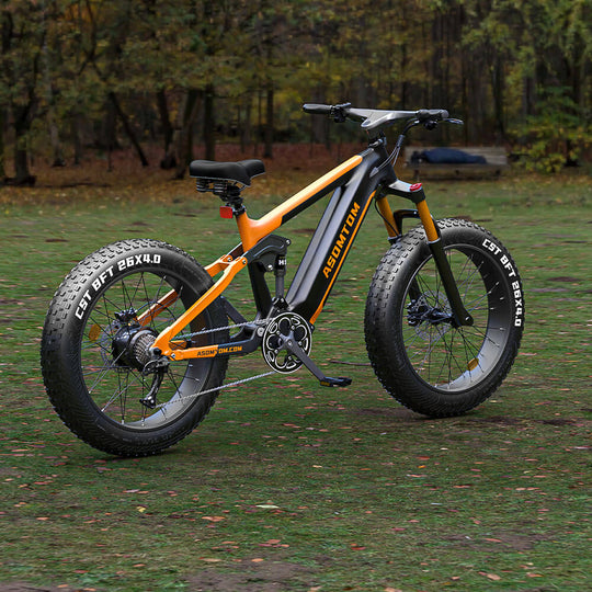 Full-Suspension All-Terrain SR6 - Asomtom Ebike