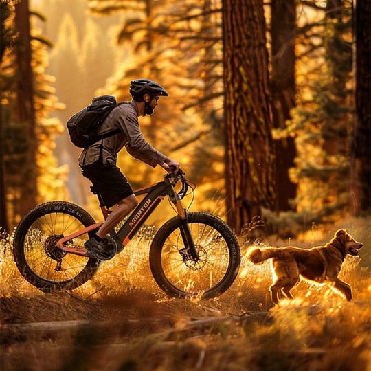 Full-Suspension All-Terrain SR6 - Asomtom Ebike