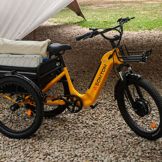 High-Capacity Cargo E-Trike WHALE - Asomtom Ebike