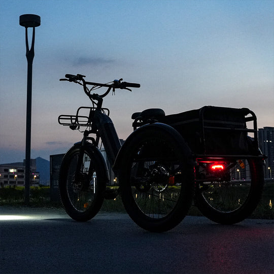 High-Capacity Cargo E-Trike WHALE - Asomtom Ebike