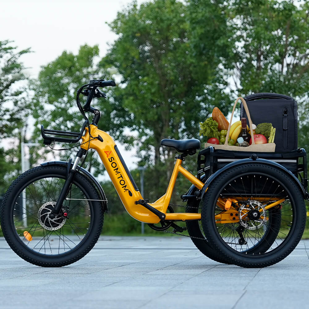 High-Capacity Cargo E-Trike WHALE - Asomtom Ebike