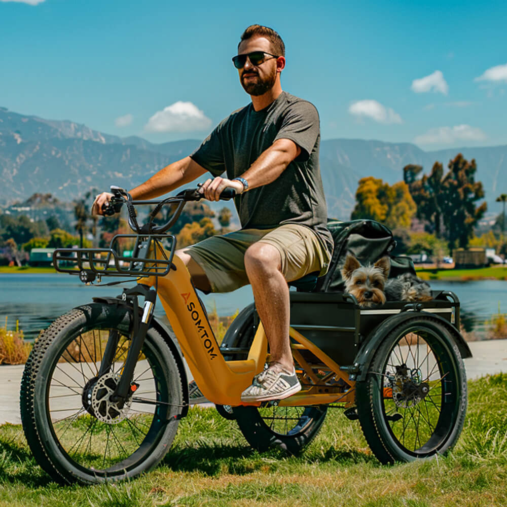 High-Capacity Cargo E-Trike WHALE - Asomtom Ebike