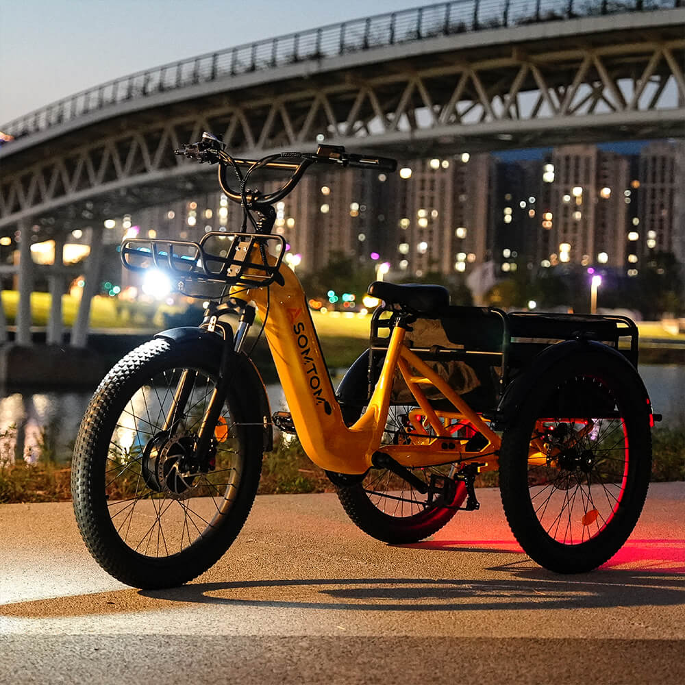 High-Capacity Cargo E-Trike WHALE - Asomtom Ebike
