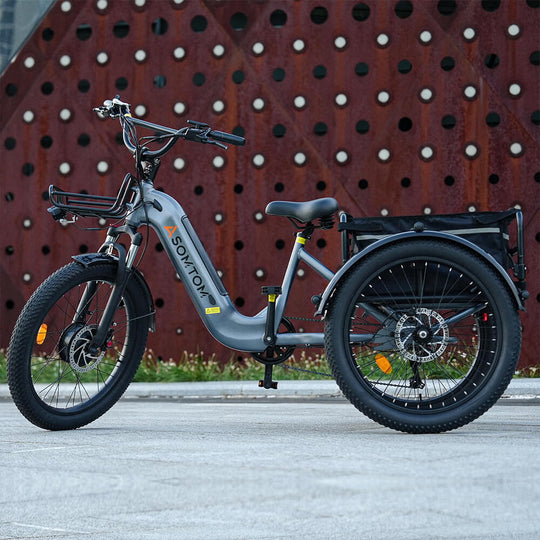 High-Capacity Cargo E-Trike WHALE - Asomtom Ebike