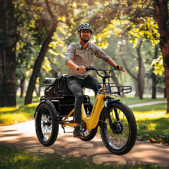 High-Capacity Cargo E-Trike WHALE - Asomtom Ebike