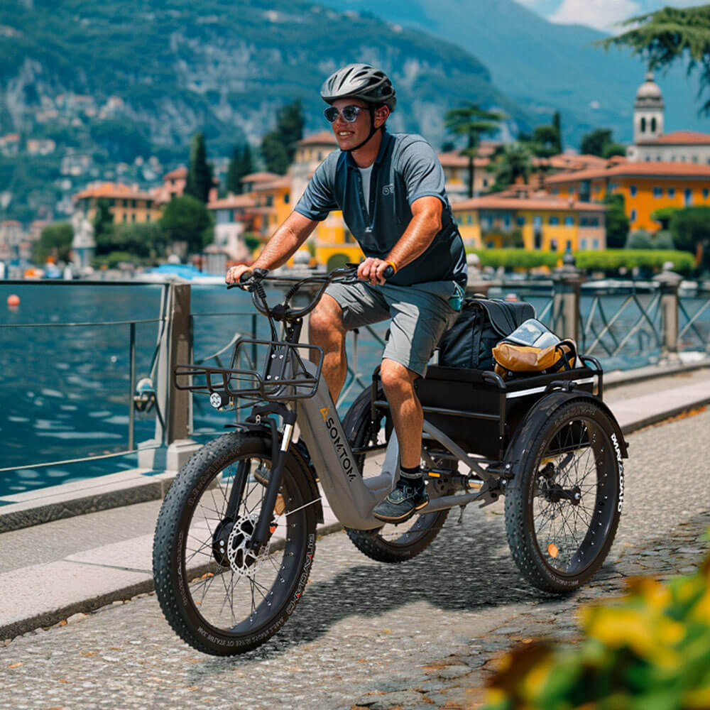 High-Capacity Durable E-Trike WHALE - Asomtom Ebike