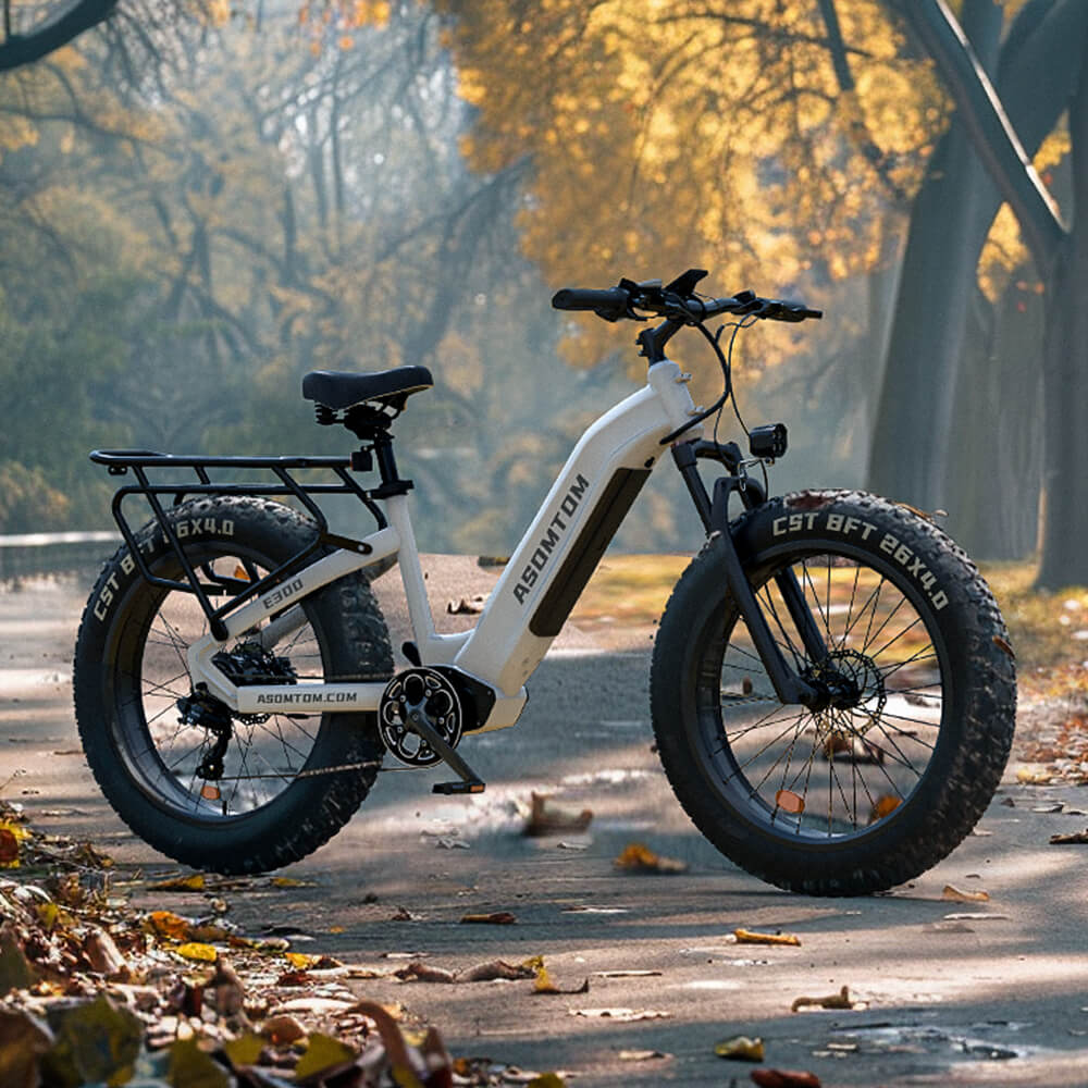 Step-through Adventure E300 - Asomtom Ebike