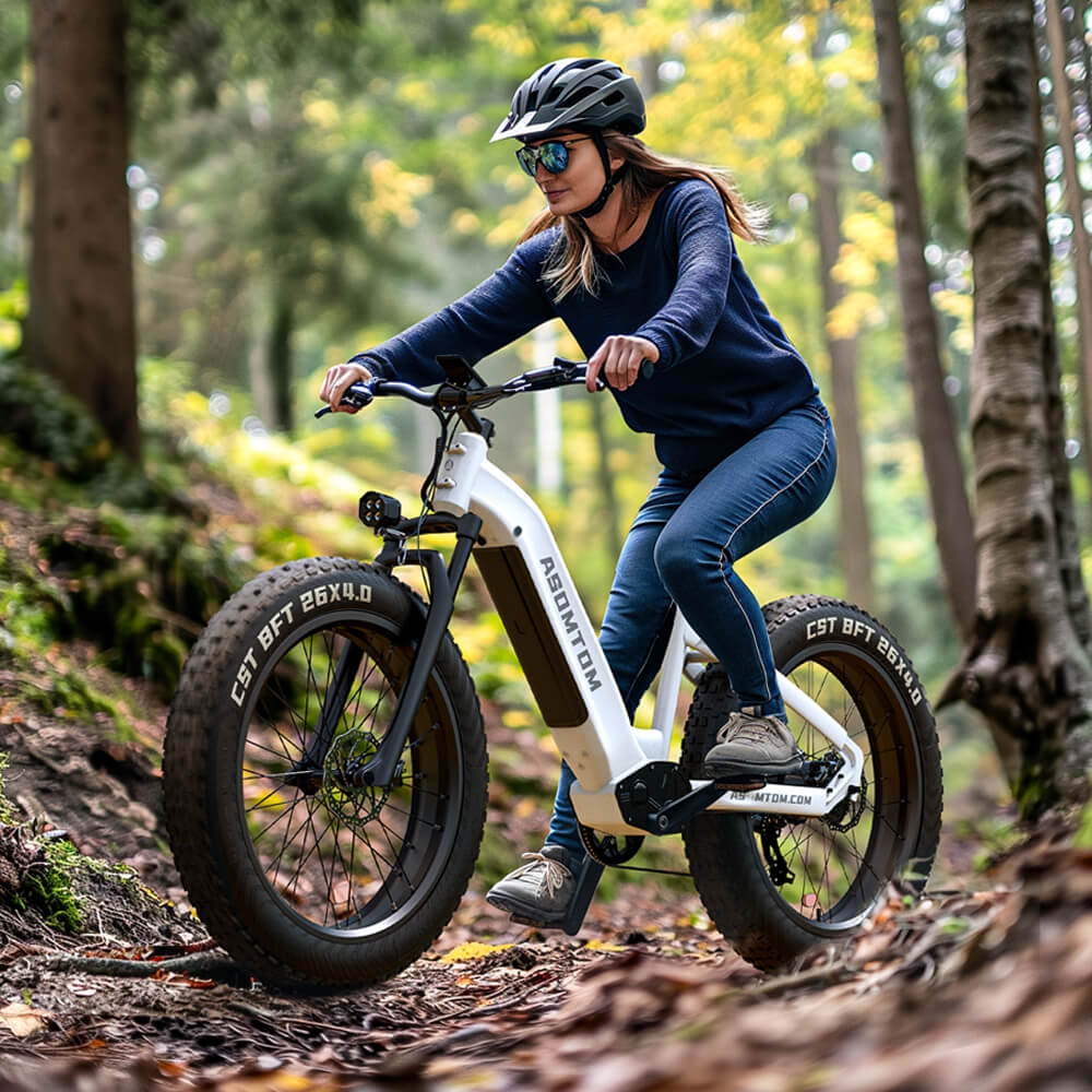 Step-through Adventure E300 - Asomtom Ebike
