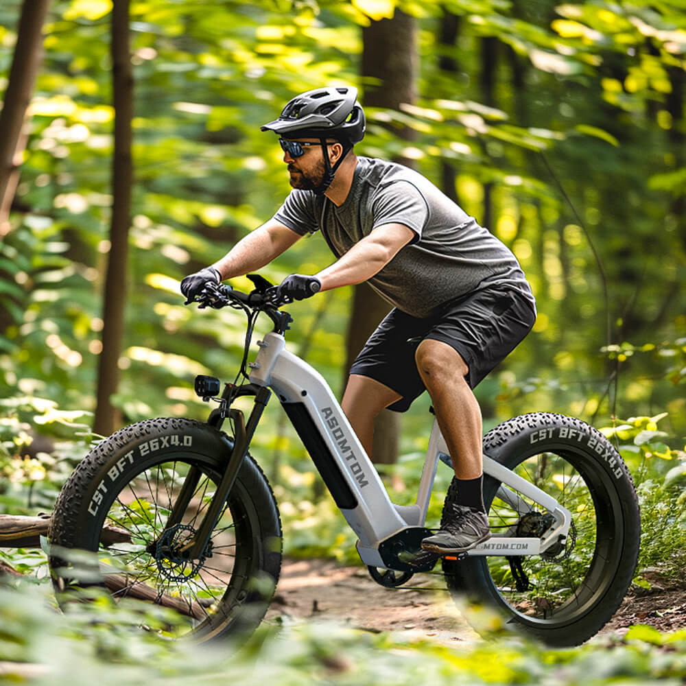 Step-through Adventure E300 - Asomtom Ebike