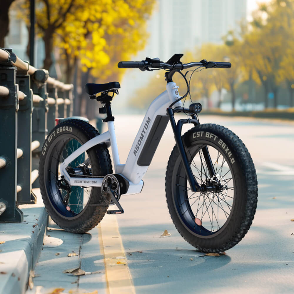 Step-through Adventure E300 - Asomtom Ebike