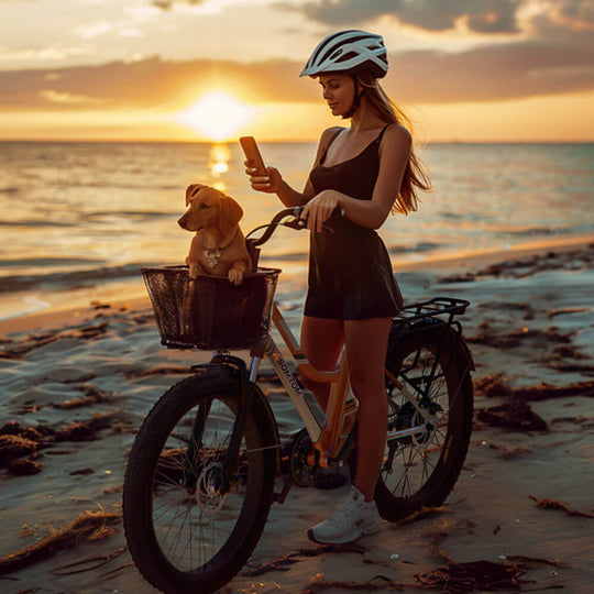 Urban Commuter E-Bike RV3 - Asomtom Ebike